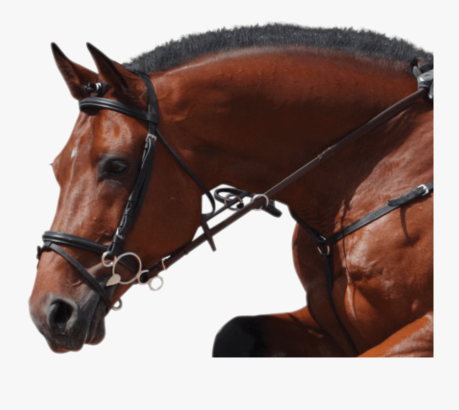 Happy Mouth Png - Bubble Bit On Horse, Transparent Clipart