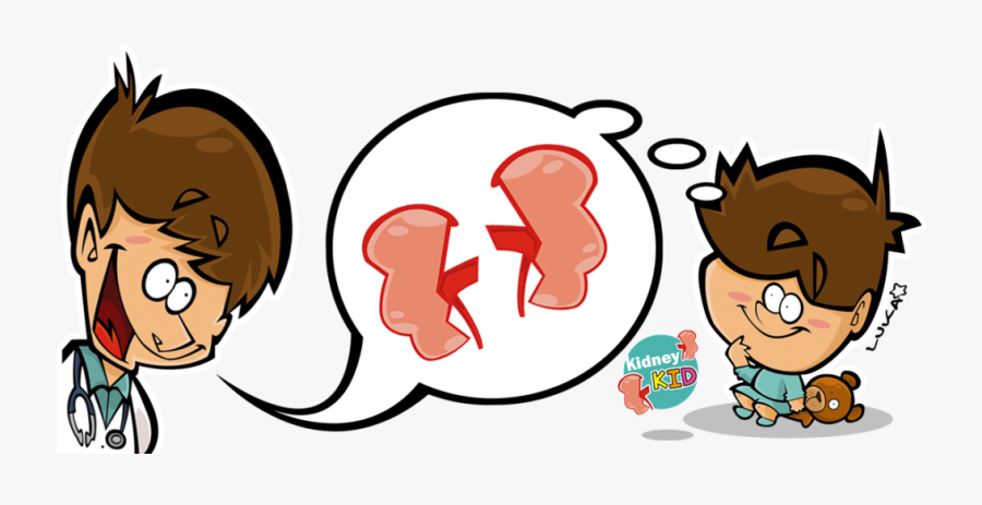 Kidney Clipart , Png Download, Transparent Clipart
