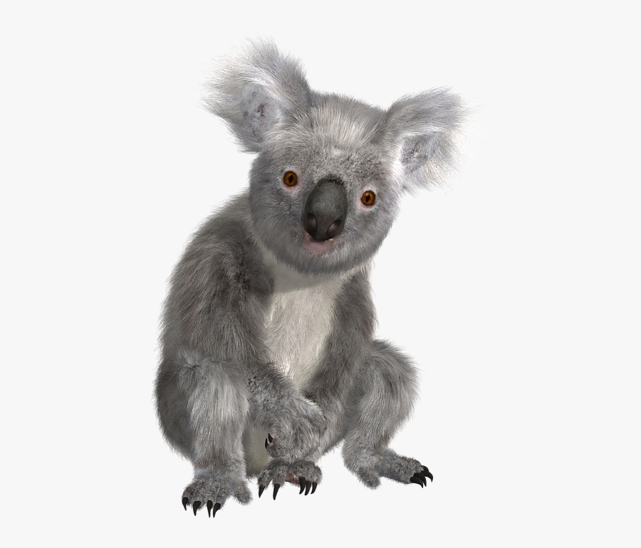 Transparent Baby Koala Clipart - Transparent Background Koala Png, Transparent Clipart