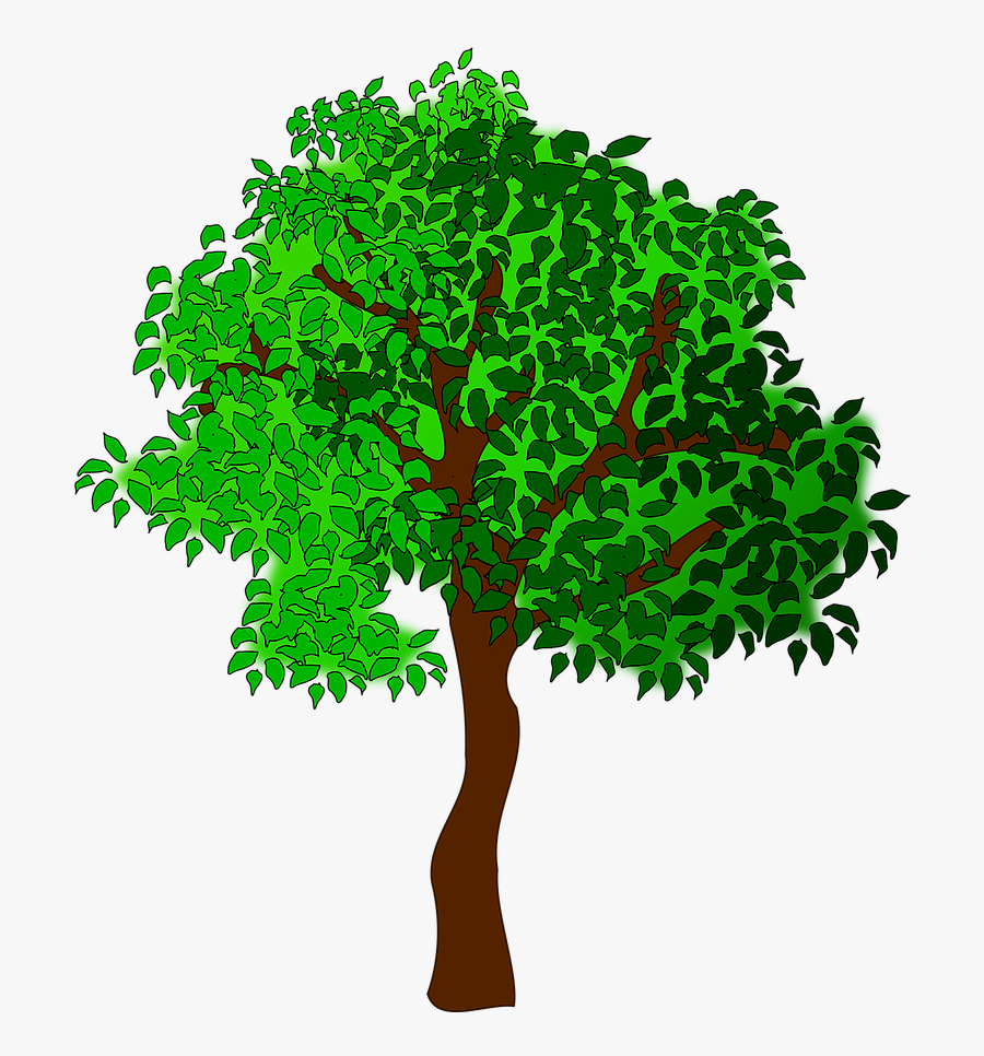Summer Tree Clipart, Transparent Clipart
