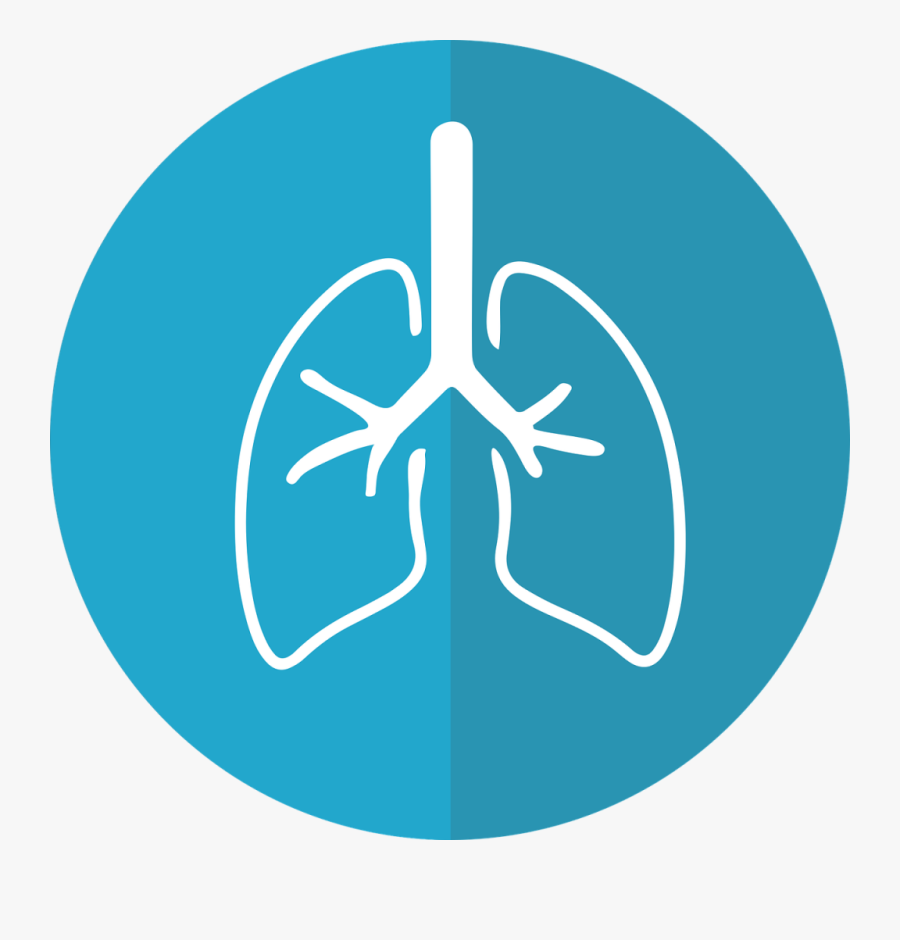 Lung Icon, Transparent Clipart