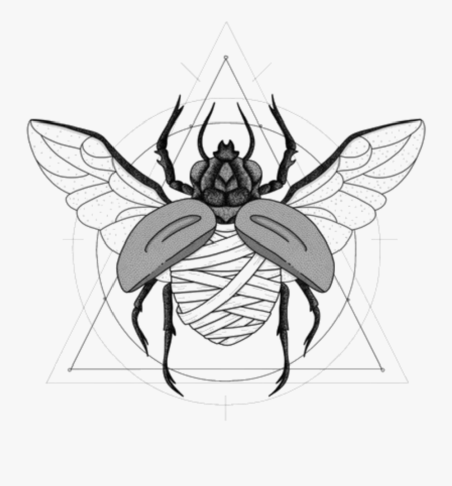 #scarab #beetle #egyptian #mummy - Illustration, Transparent Clipart