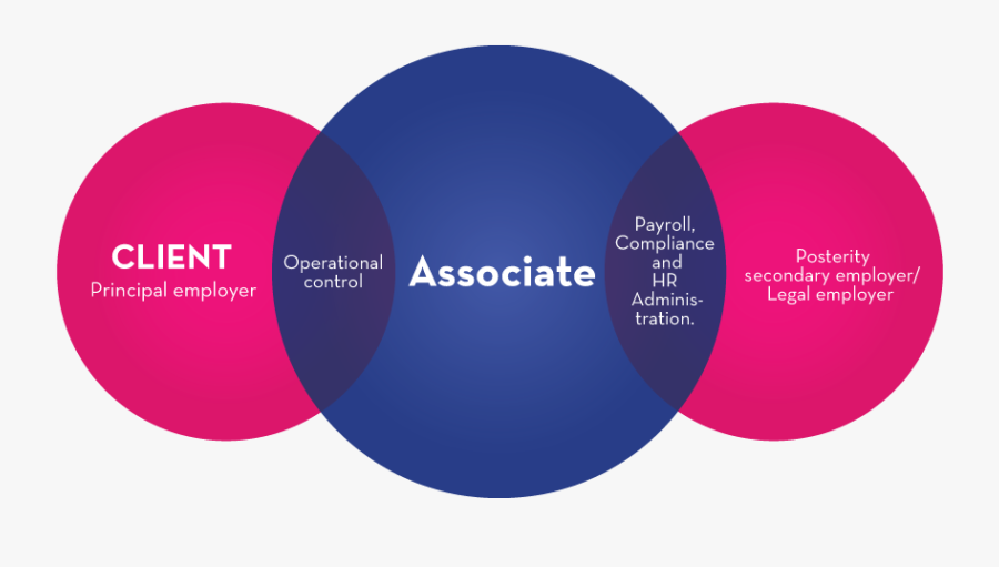 Circle, Transparent Clipart