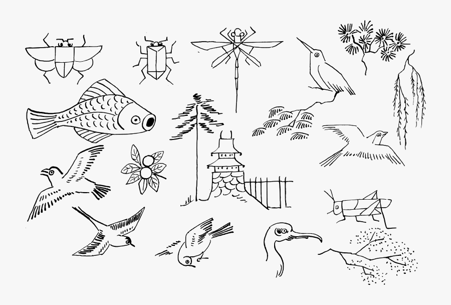 Marie Von Olfers Malfibel - Dibujo De Insectos Aves, Transparent Clipart
