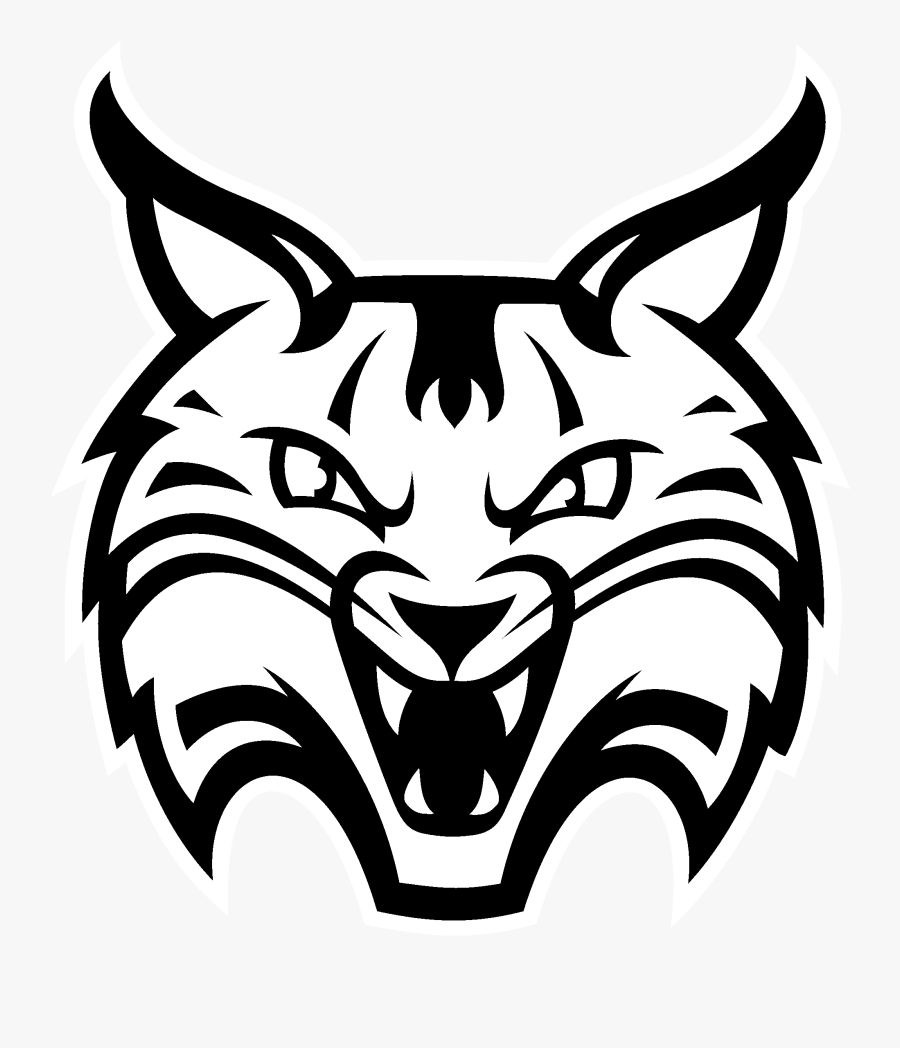 Collection Of Free Bobcat Vector Illustration - Bobcat Quinnipiac, Transparent Clipart