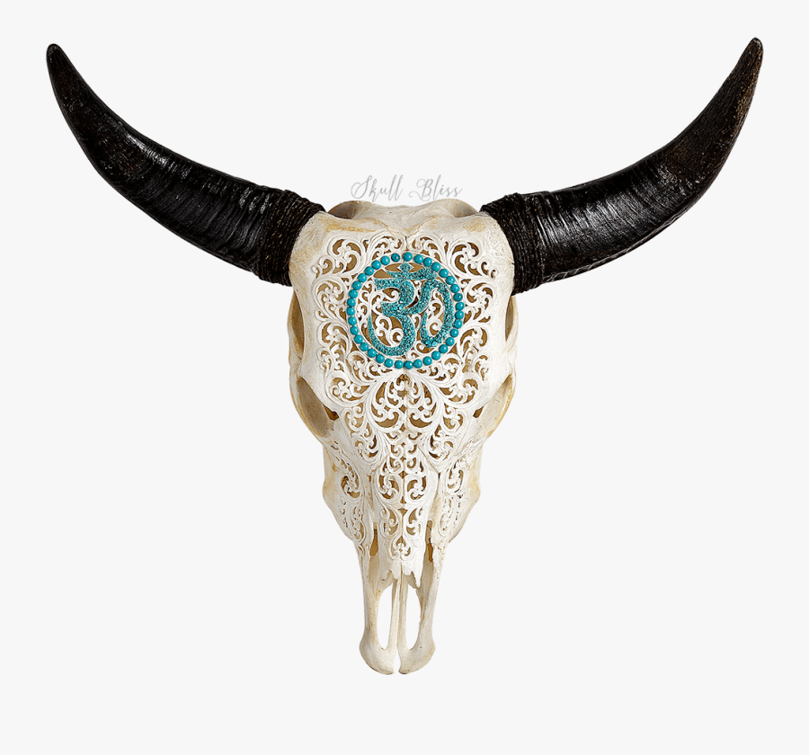 Skull Xl Horns Cattle Animal - Skull, Transparent Clipart