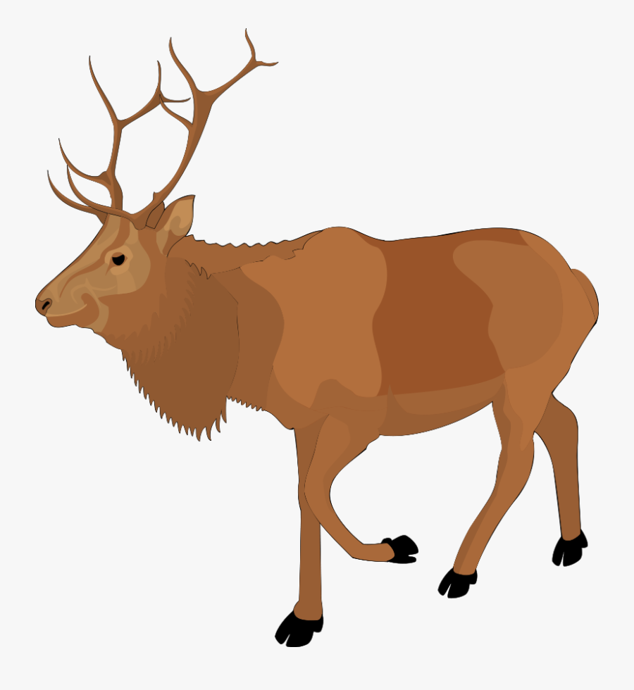 Animal 3 Svg Clip Arts - Moose Clipart Transparent, Transparent Clipart