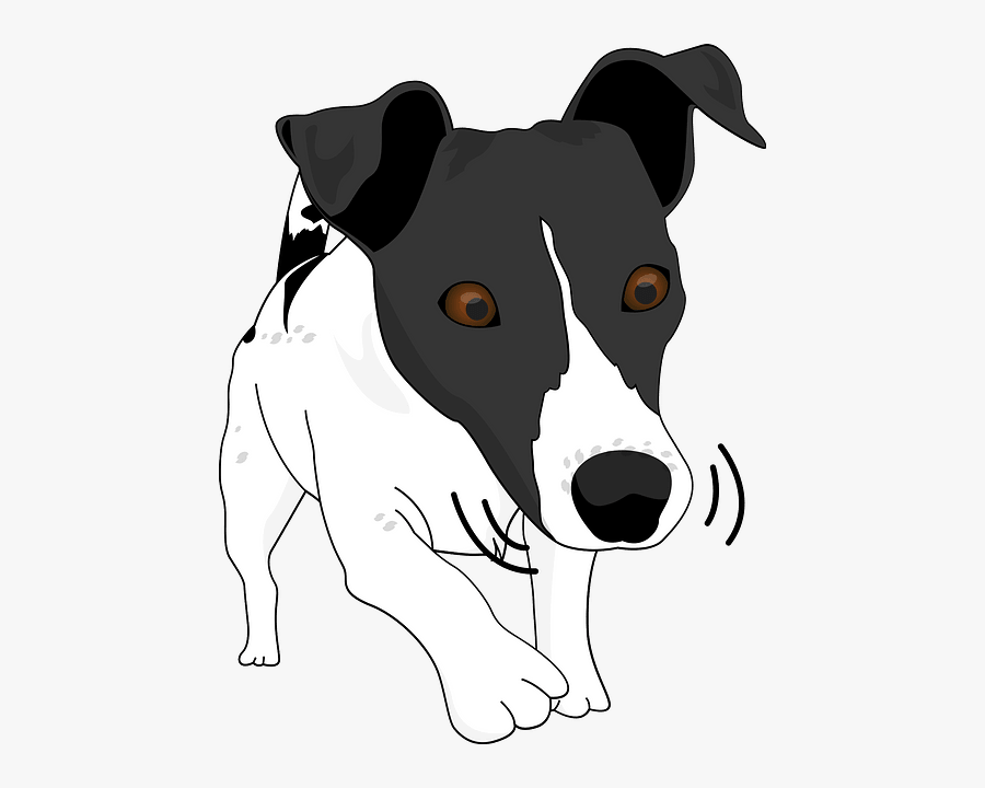 Dog, Transparent Clipart