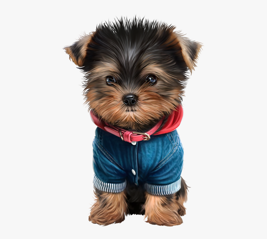 Yorkie Puppy Transparent Background, Transparent Clipart