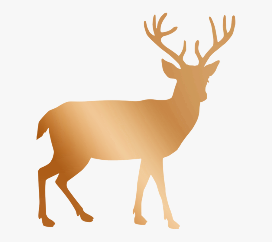 Transparent Reindeer Clipart - White Deer Clipart Transparent Background, Transparent Clipart