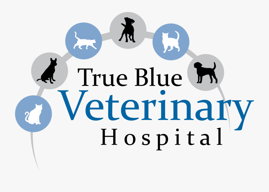 True Blue Veterinary Hospital - Graphic Design, Transparent Clipart