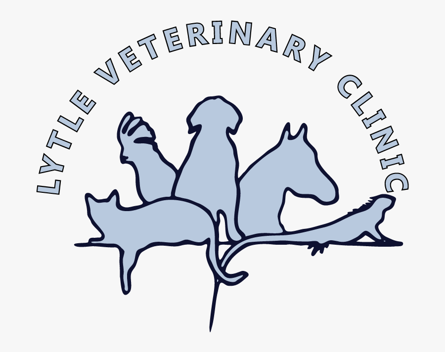 Veterinarian Clipart Service Animal - Frontier Lifeline Hospital Logo, Transparent Clipart