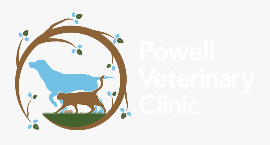 Vet Clinic Clipart, Transparent Clipart