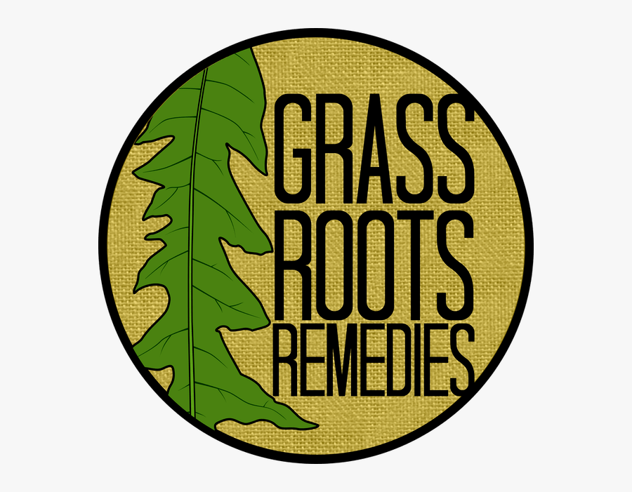 Roots Clipart Grass Root, Transparent Clipart