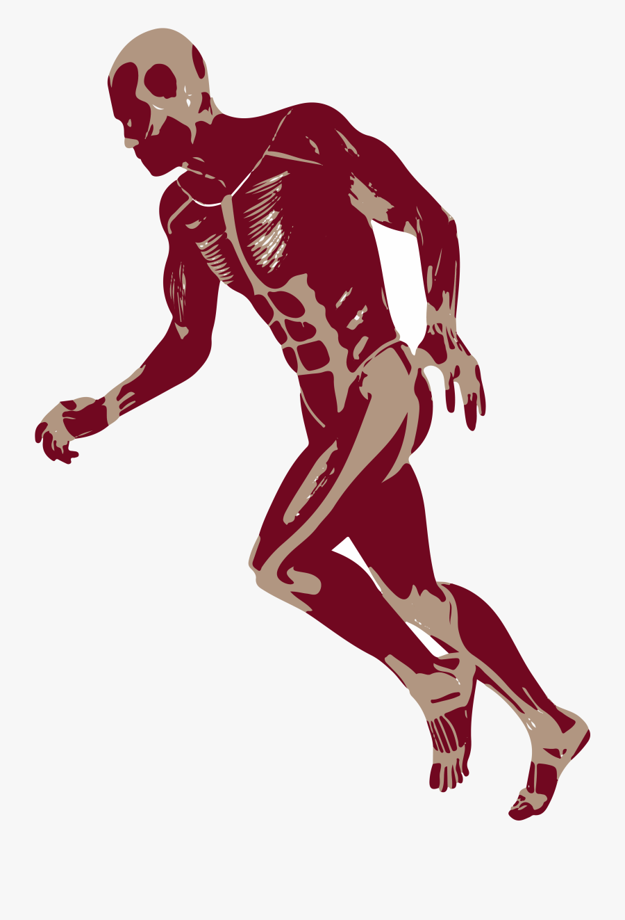 3d Running Man Muscles Anatomy D Png - Man Running 3d Png , Free
