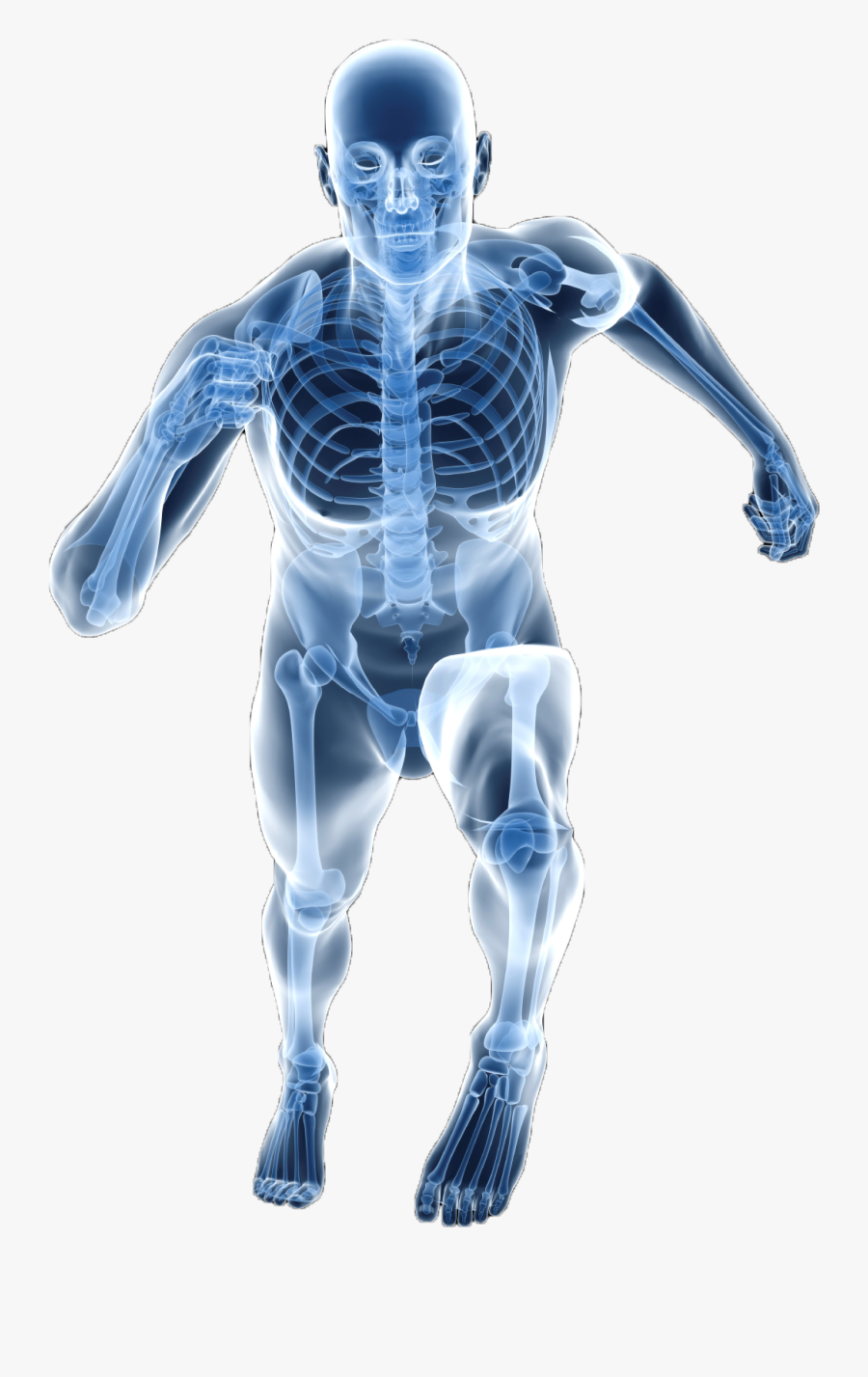 Sports Medicine Png Sports Medicine Picture Png , Free Transparent