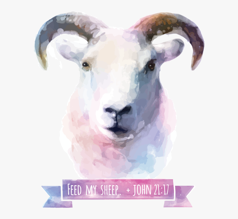 Feed My Sheep - Goat Watercolor Png, Transparent Clipart