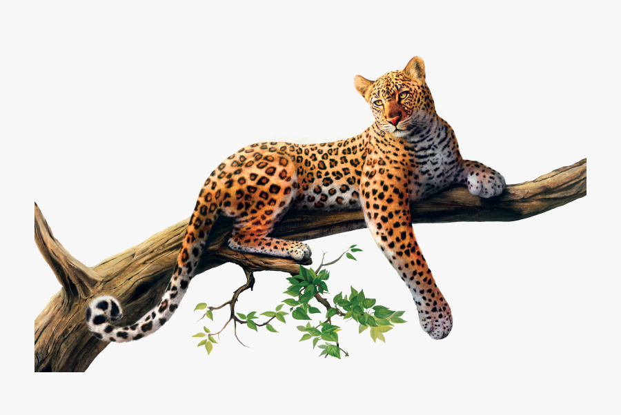 Jaguar Png, Transparent Clipart