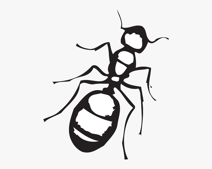 Ant Clipart Black And White , Png Download - Ant Black And White Outline, Transparent Clipart