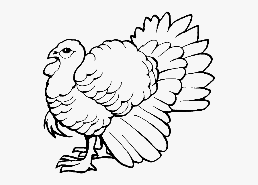 Coloring Pages Of Turkey, Transparent Clipart