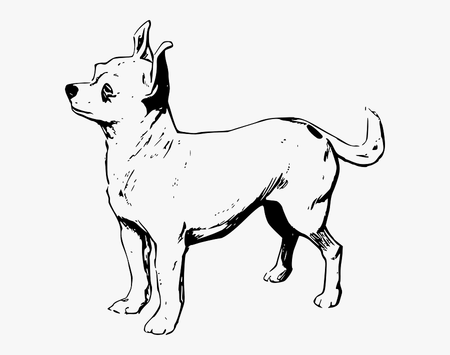 Chihuahua Black And White Drawings, Transparent Clipart