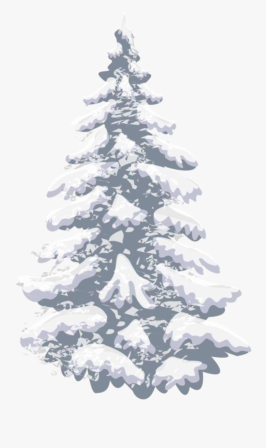 Pine Christmas Tree - Snow Pine Tree Png, Transparent Clipart