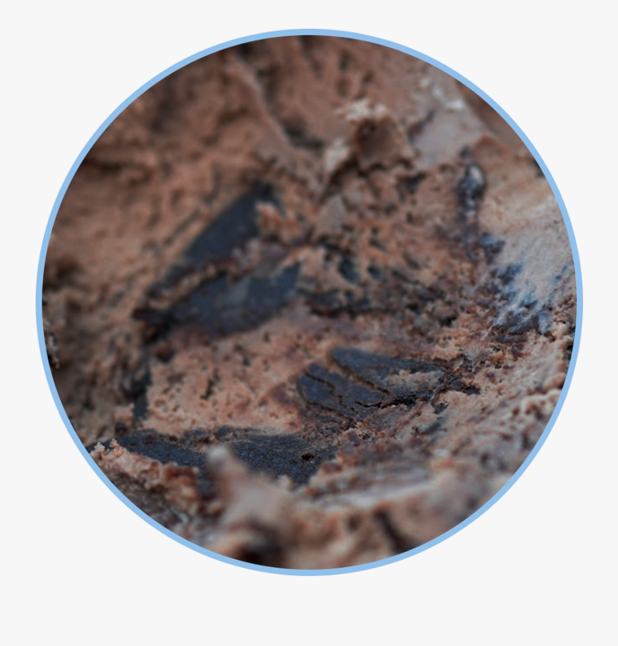 Moose Tracks Clipart, Transparent Clipart