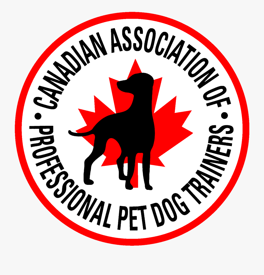 Canadian Association Of Professional Pet Dog Trainers - Dog, Transparent Clipart