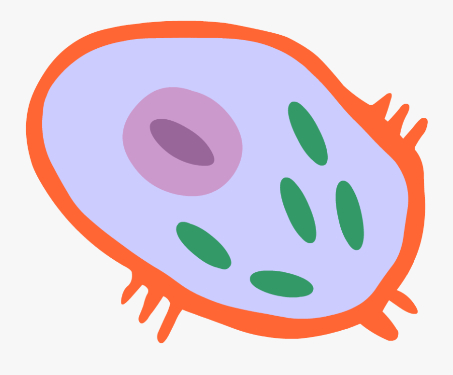 Cell Science Icon Png Clipart , Png Download - Human Cell Png, Transparent Clipart