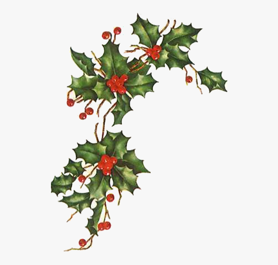 Christmas Love Happiness Wish Blessing - Vintage Christmas Flower Png, Transparent Clipart