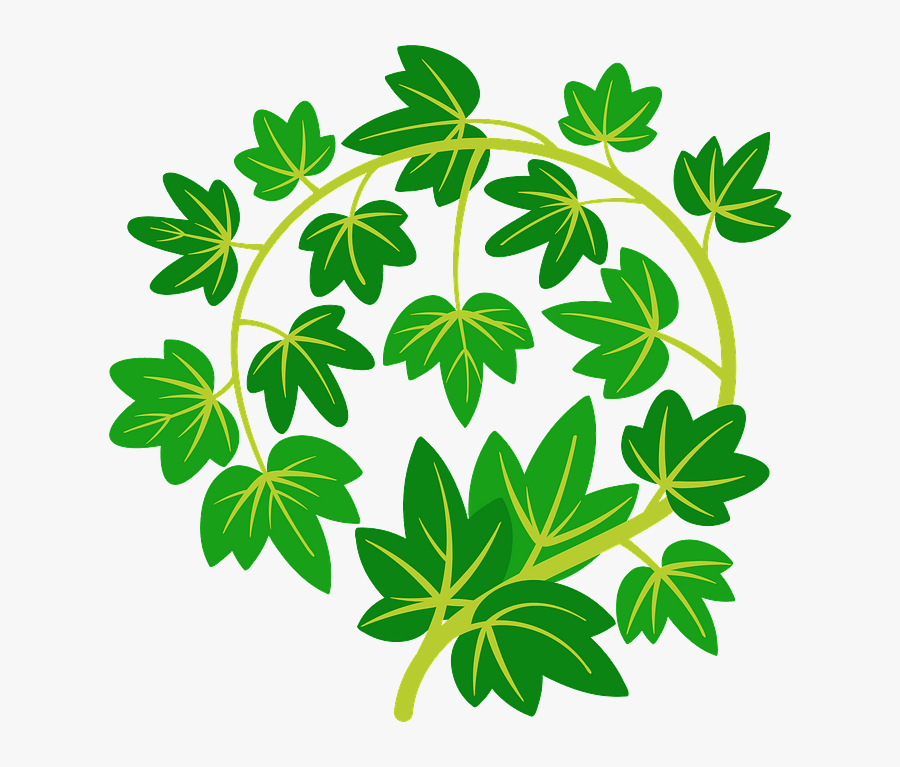 Flower, Transparent Clipart