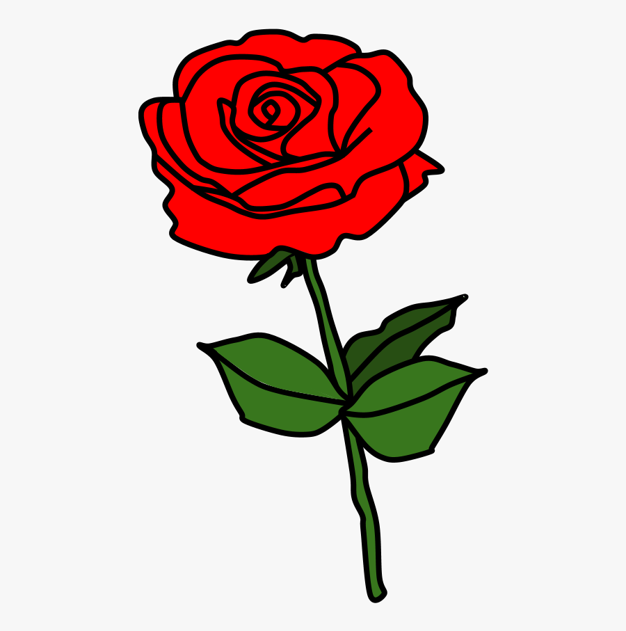 Rose, Thorns, Red - Floribunda, Transparent Clipart