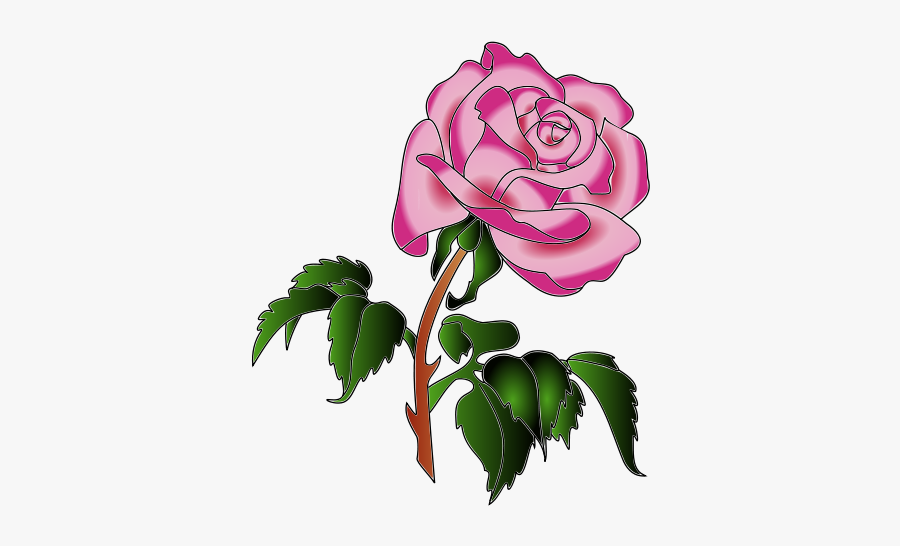 Rose In Colors - Rose, Transparent Clipart