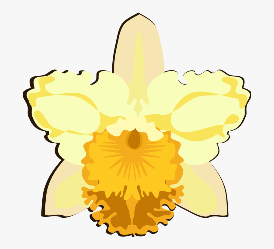 Plant,flower,symmetry - Flower, Transparent Clipart