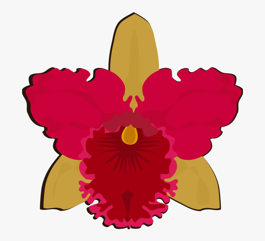 Pink,plant,flower - Orchid Flower Clip Art, Transparent Clipart