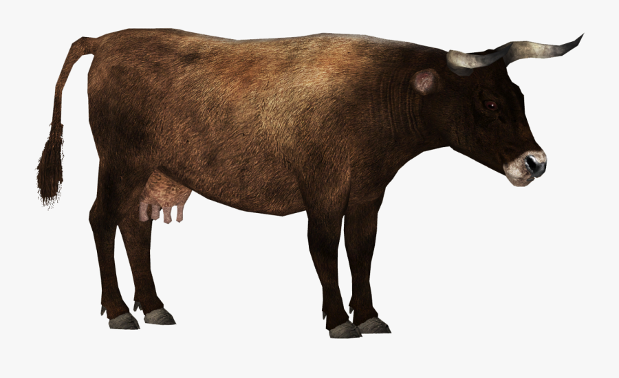 Aurochs F Swollen Udder Clipart , Png Download - Zoo Tycoon 2 Cattle, Transparent Clipart
