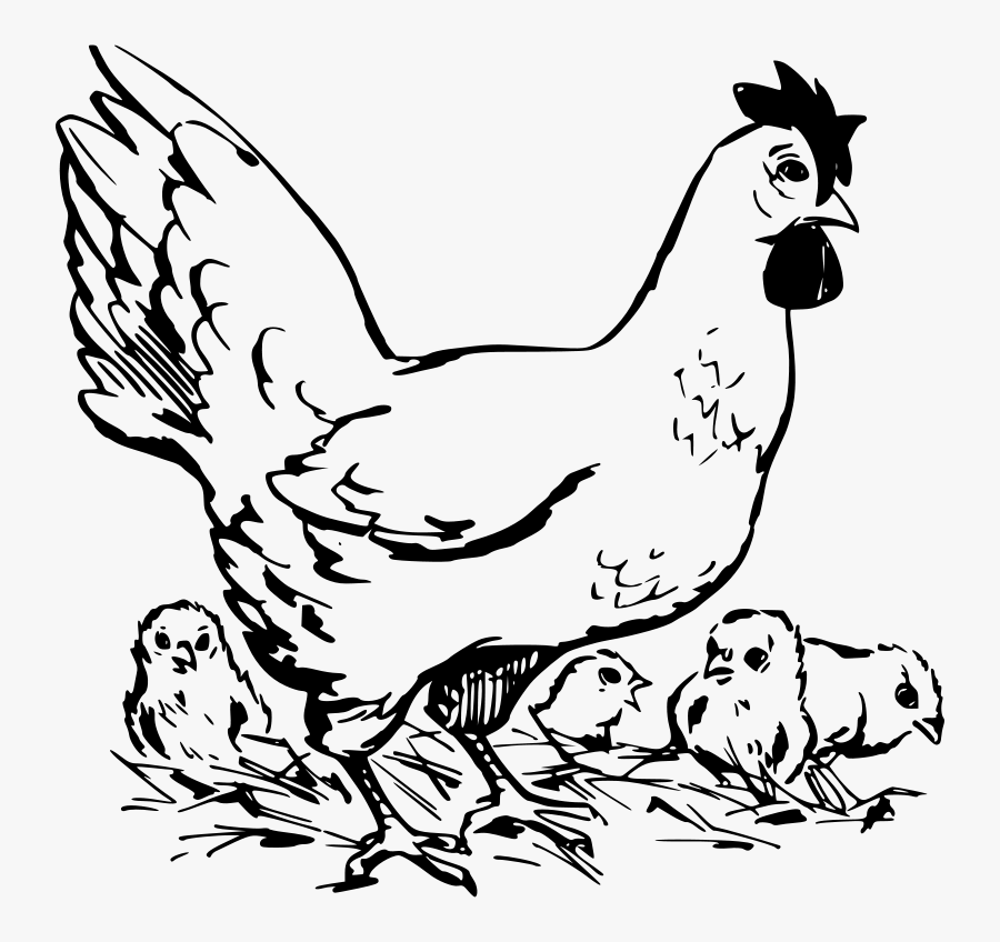 Hen And Chickens - Chicken And Chicks Black And White, Transparent Clipart