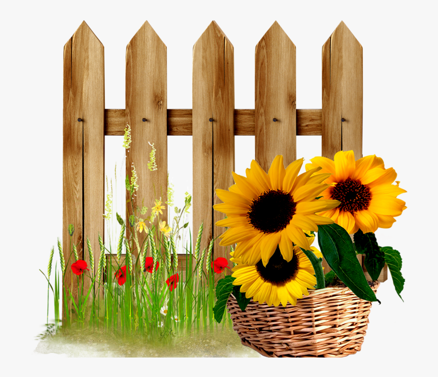 Sunflower Fence Clipart, Transparent Clipart