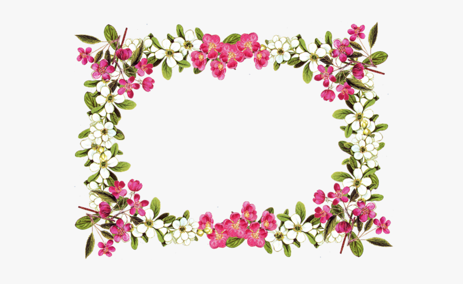 Flower Frame Transparent, Transparent Clipart