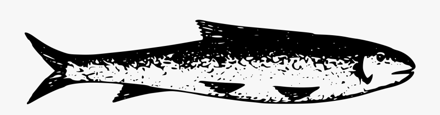 Portable Network Graphics, Transparent Clipart