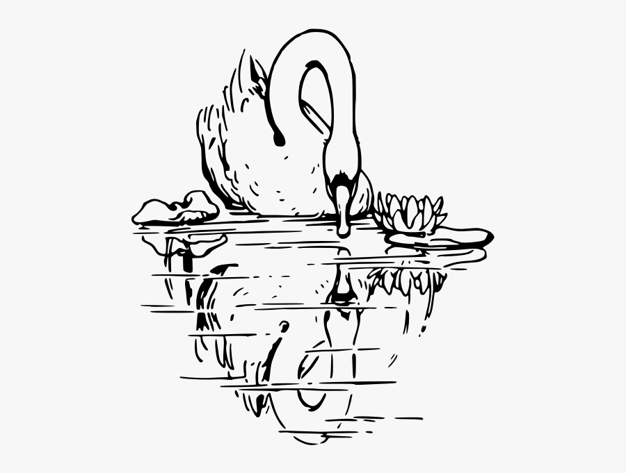 Swan In Lake - Swans In A Lake Black And White Clipart, Transparent Clipart