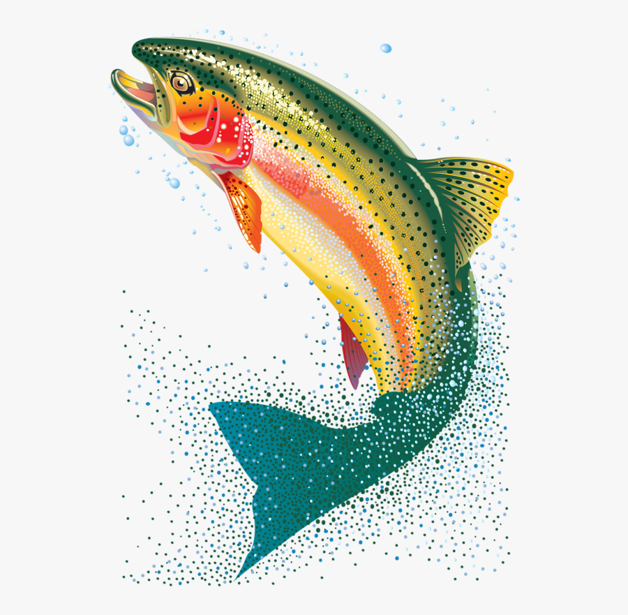 Transparent Background Trout Fish Png, Transparent Clipart