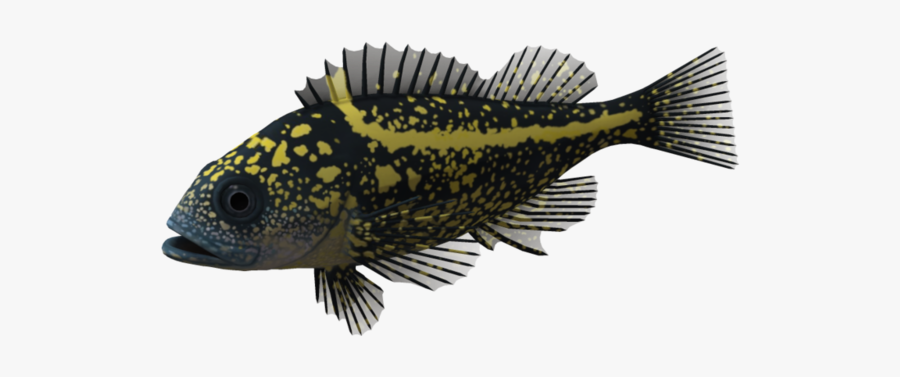 Ocean Fish - Animal Ocean 3d, Transparent Clipart
