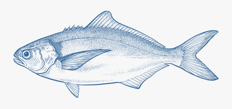 Sole, Transparent Clipart