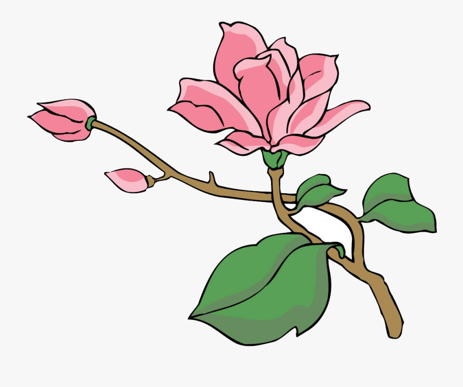 Tree Euclidean Transprent Png - Magnolia, Transparent Clipart