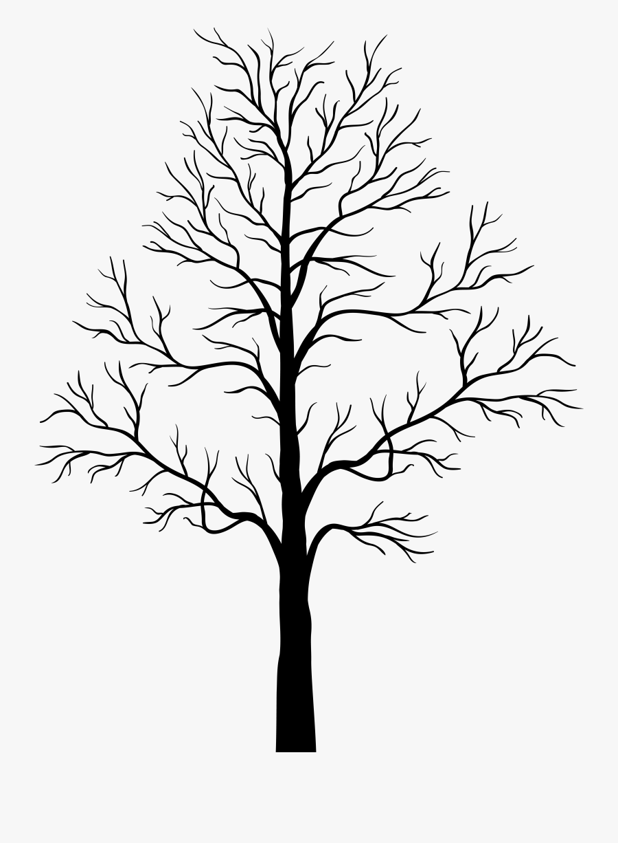 Magnolia Tree Clipart, Transparent Clipart