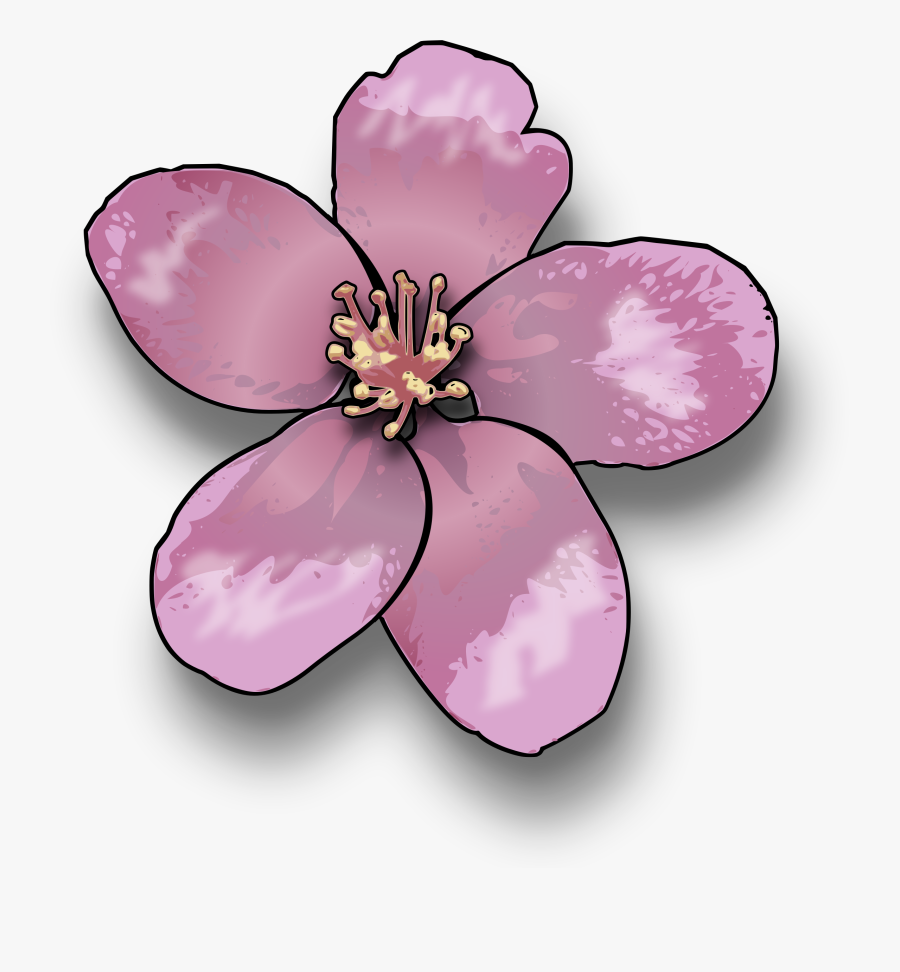 Magnolia Clipart Single - Apple Blossom Clip Art, Transparent Clipart