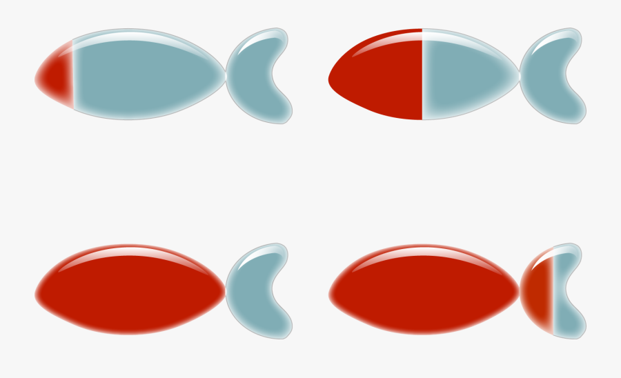 Cultured Cell Lines Or Primary Cells, As Well As Cells, Transparent Clipart