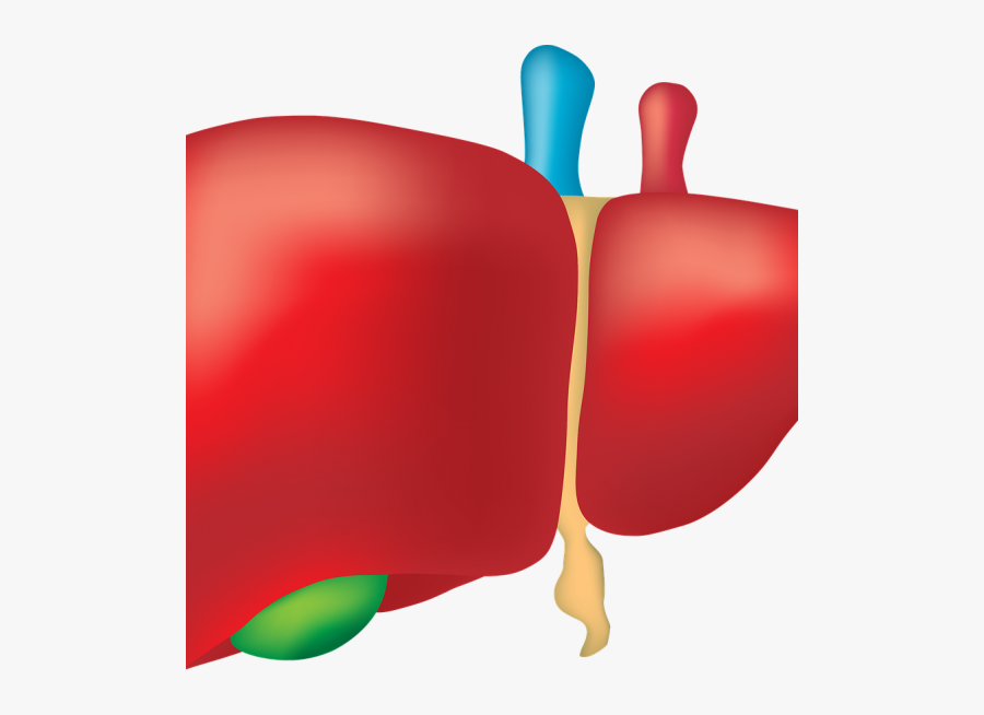 World Hepatitis Day 2018 Theme Clipart , Png Download - World Hepatitis Day Theme 2018, Transparent Clipart