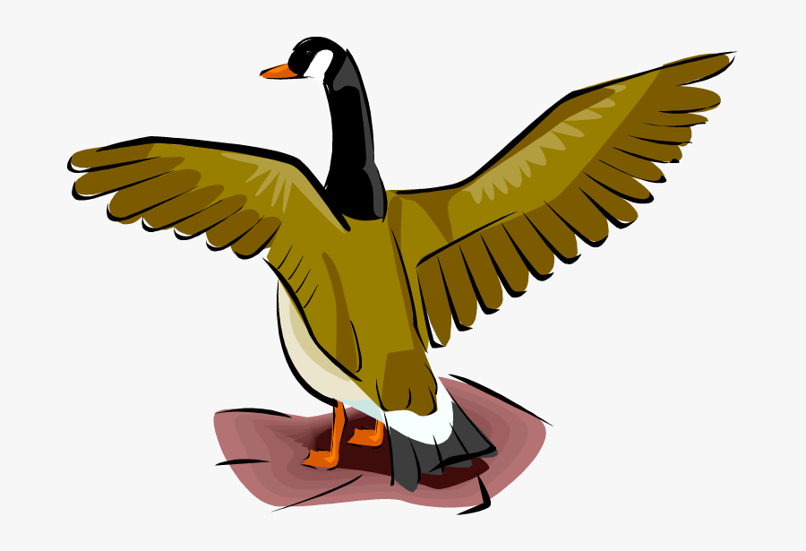Duck, Transparent Clipart
